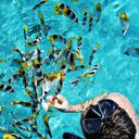 Andrew Meehan - @AandyM - Twitter