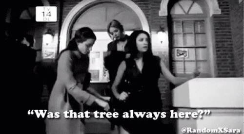 Pretty Little Liras = my life. Bitches please, pll is the best thing in my life (: Bitch Please i am fabulous-not Since: 23/09/2012