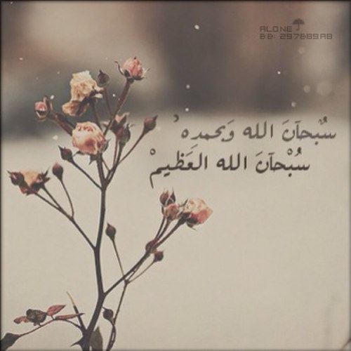 k00775's profile picture. 