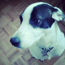 Cl4udia11's profile picture. gestora cultural