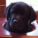 tim erwin - @repugnent - Twitter