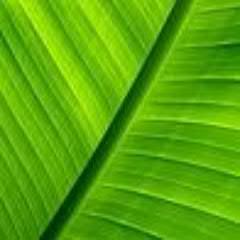 atona22's profile picture. Dedicated low-budget traveler. Loves remote places and challenging trips. Next destination: Azerbaijan