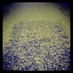 buffalovermont (@buffalovermont) Twitter profile photo buffalovermont (@buffalovermont) Twitter profile photo
