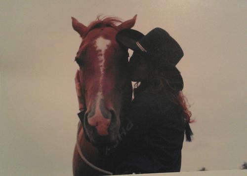 sgBarrelRacer's profile picture. ↣Just Following My Dreams↢