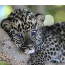 tamara juarez - @tamibus - Twitter