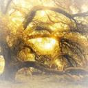 Aaron Everett - @everett_aaron - Twitter