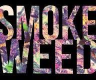 Natalia_Zeemell's profile picture. 