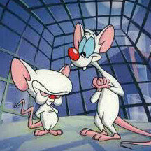 NogueraRafael's profile picture. Gracias s Dios por ayudar a tanta gente con mi profesión....y seguiré luchando por mi familia y mi país.