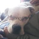 stottster67 - @JackieStott2 - Twitter