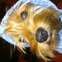 daniela conti - @danielaconti24 - Twitter