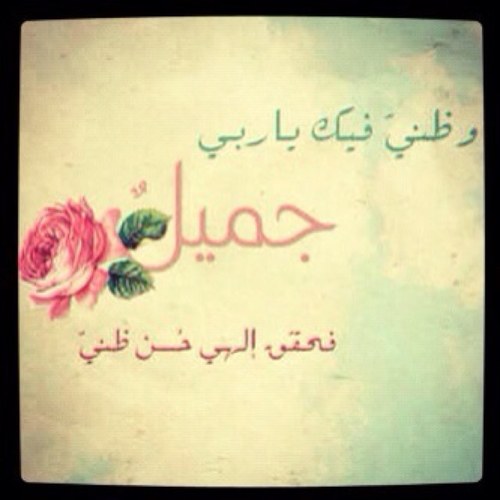 سبحان الله .. والحمد لله ولا اله الا الله والله اكبر