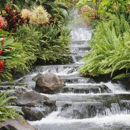 Maestra de reiki usui. tratamientos y cursos de iniciación en todos los niveles. Flores de Bach