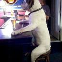 Danny Weiss - @dannyweiss51 - Twitter