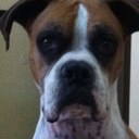 Gus Jimenez - @DarthCop - Twitter