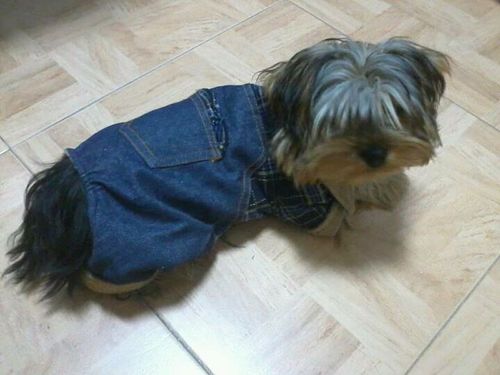 gema43's profile picture. una mujer sincera