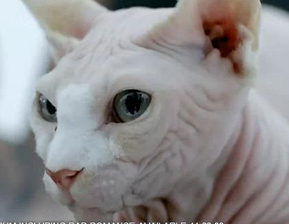 Maurito5346's profile picture. Obligado a meterme en este asunto.... jajajaja pa no estar tan desconectado