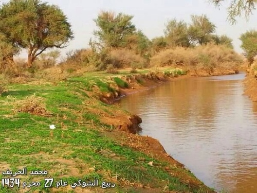 abukhalid1234's profile picture. مسلم سني اشجع الهلال اكره الروافض احب التكنلوجيا