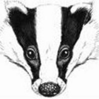 Justin Philip Badger (@justinpbadger) 's Twitter Profile