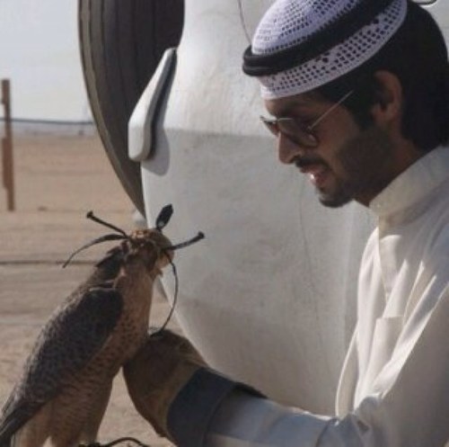 nooaf_q8's profile picture. بشروهـا انـي لجـل عينـهـا قـاعـد عـزوبي بري حٱلي من عنٱ ٱلشۆق بريٱھ ۆيٱطي عمري كل مٱشفت بيتھ ۆيٱعزتيلي لٱبغيتہ ۆلٱ ألقٱھ #طالب_في_بريطانيا فلومي=فلوباك