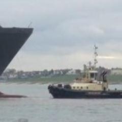 Ship and shipping news, information and background on video