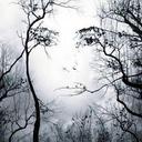 Susan MantZ - @sweethonu - Twitter