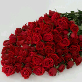 astridnindia's profile picture. 