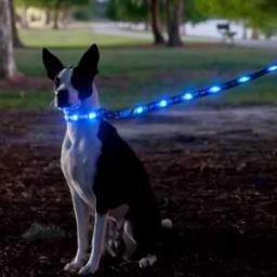 ledpetleashes's profile picture. We are the lead developers of the new stylish and sleek safety product the  LED PET LEASH & COLLAR SETS.Great gift for pet lovers as well as mans best friend!