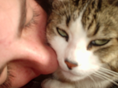 AlbertinaRamos's profile picture. 