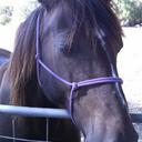 Alex Draper - @allietrox - Twitter