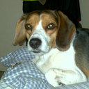 Will key - @WillKeys2 - Twitter