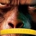 spaceapes (@spaceapes) Twitter profile photo