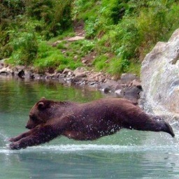 DavidClinton8's profile picture. 