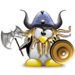 NKVikingParody's profile picture. 