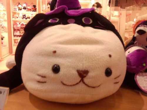 ヨロ(･ω･)スク(｢･ω･)｢