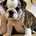 amber winkler - @awinkncoryb - Twitter