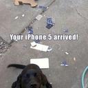 scott wilhite - @scottwilhite1 - Twitter