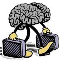 Datos, información, estadísticas y más.
Seguime para ampliar tu materia gris.