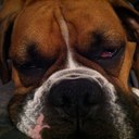 Daryl Rice - @NHbowhunter1 - Twitter