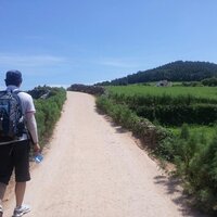 초록바다 (@seozzi) 's Twitter Profile