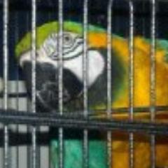 ForCertain's profile picture. 