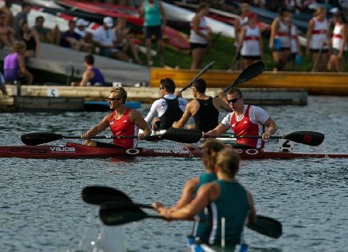 macknightmike's profile picture. 