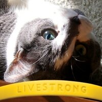 Mike! (@mikehockings) 's Twitter Profile Photo Mike! (@mikehockings) 's Twitter Profile Photo