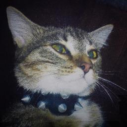 molasblacker's profile picture. 