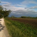 Tracy McGee - @Tracym3079Tracy - Twitter