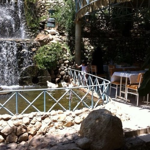 daloati66's profile picture. 