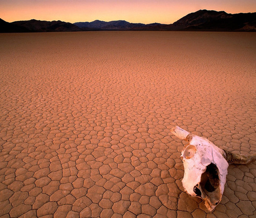 thdgus40's profile picture. 건설노동자.  
배신. 조작. 탄압