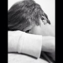 forrest lawson - @forrest_lawson - Twitter