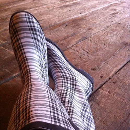 WhittyGK's profile picture. 