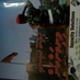 mohamed rasheed (@rasheed6657) Twitter profile photo