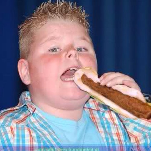 hog_road's profile picture. 